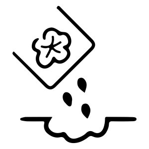 Семена и многолетники Семена и многолетники