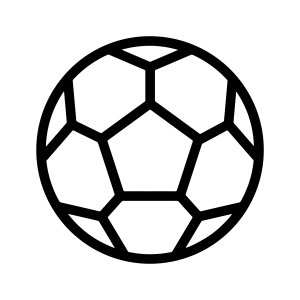 Спортивный инвентарь Спортивный инвентарь