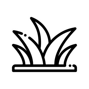 Газоны Газоны